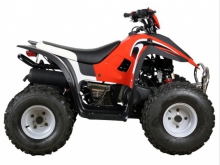 Фото Stels ATV 100C ATV 100C №2