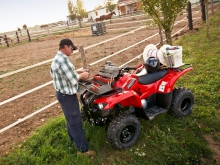 Фото Yamaha Grizzly 300  №10