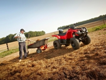 Фото Yamaha Grizzly 300  №12
