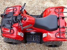 Фото Yamaha Grizzly 300  №13