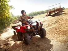 Фото Yamaha Grizzly 300  №6