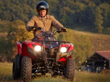 Фото Yamaha Grizzly 300  №8